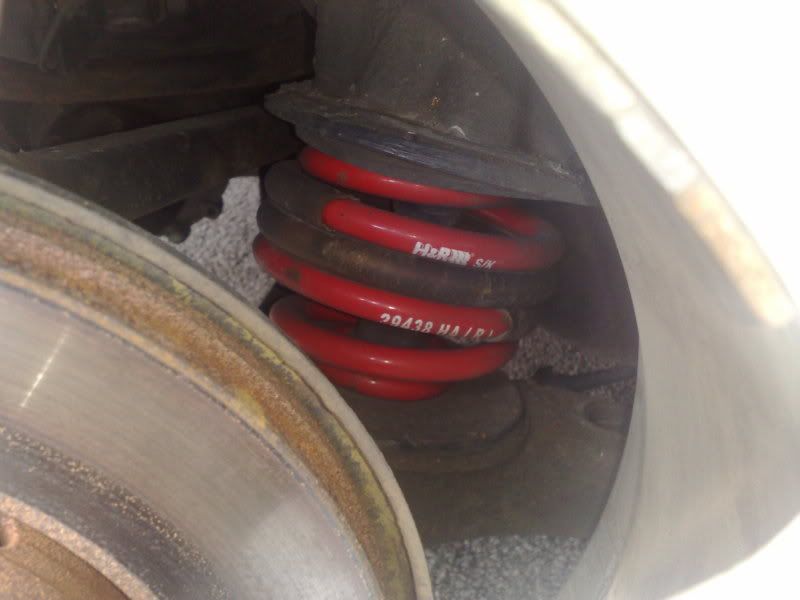 Audi S3Eibach vs H&R vs Apex lowering springs.